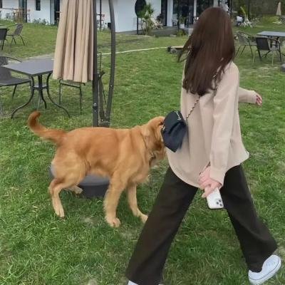 贝多芬的宝藏